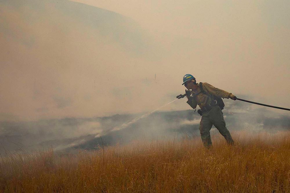 Harris Fire. wildland firefighter works to put out the Harris Fire in Montana. Photo by Austin Catlin, BLM. Original public…