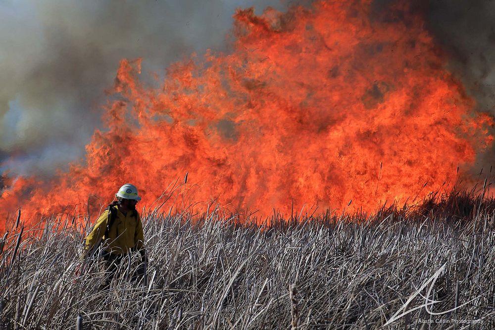 Market Lake Prescribed FireThe Idaho Fish and Game has partnered with BLM Idaho to conduct a series of controlled burns…
