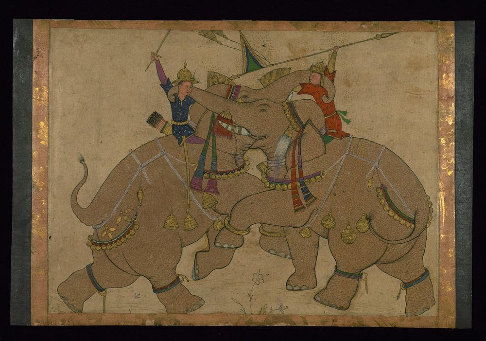 Single Leaf of Elephant Combat (13th century AH/AD 19th century (Mughal)) by Indian