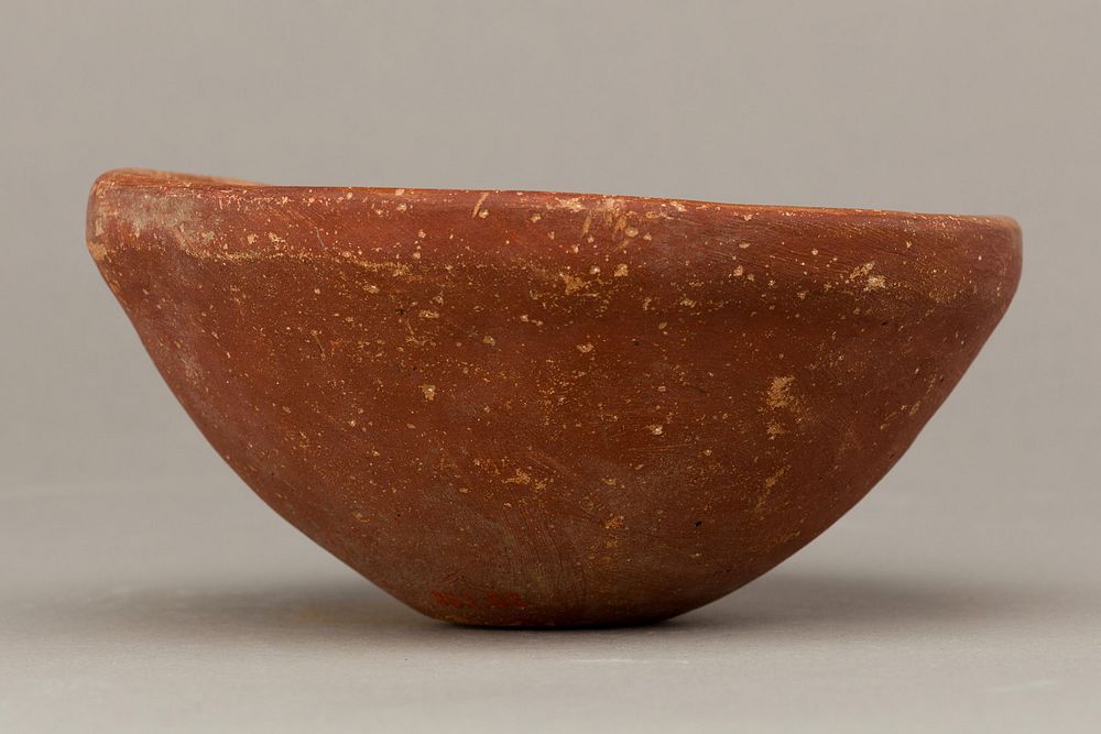 Bowl