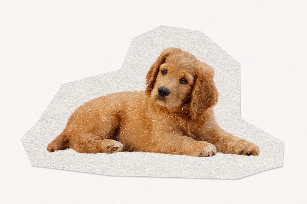Golden Retriever puppy paper cut isolated design