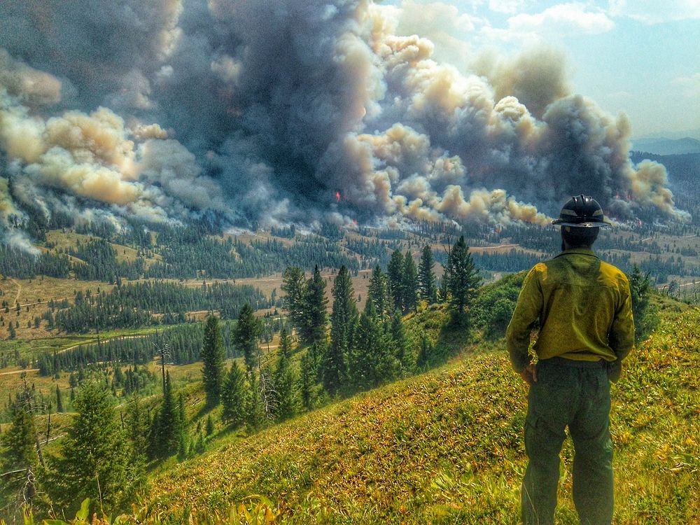 2021 USFWS Fire Employee Photo Contest Category: Landscape and FireA USFWS firefighter observes the 2016 Bondurant Fire in…