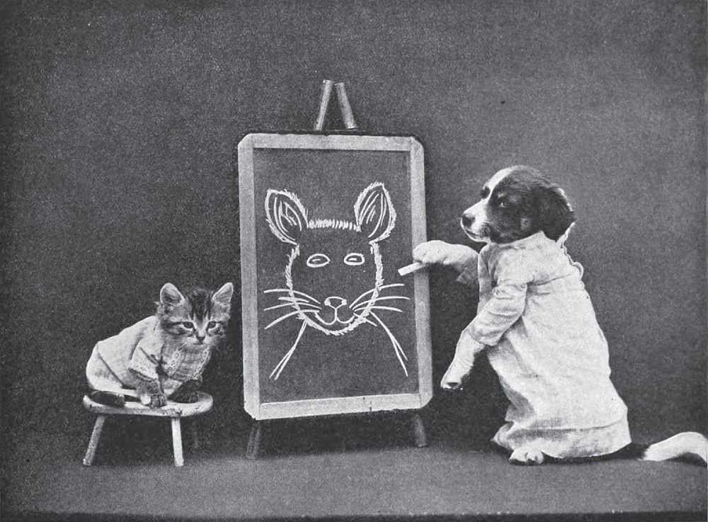 Illustration from "The little folks of animal land". Inscription below image: "Rosie was a patient model."