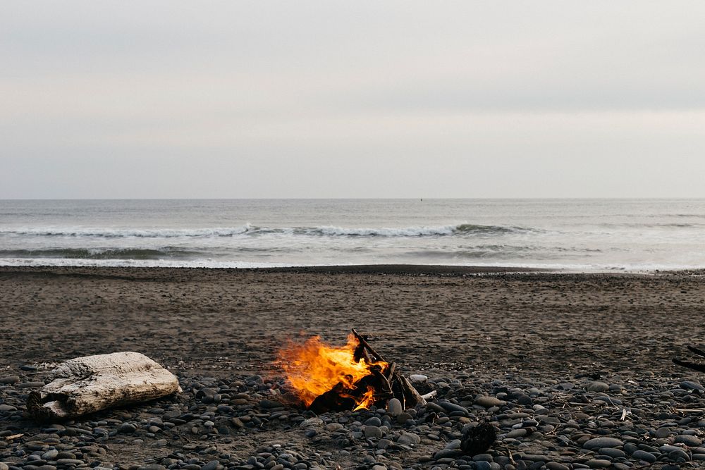 Free bonfire on the beach photo, public domain CC0 image.