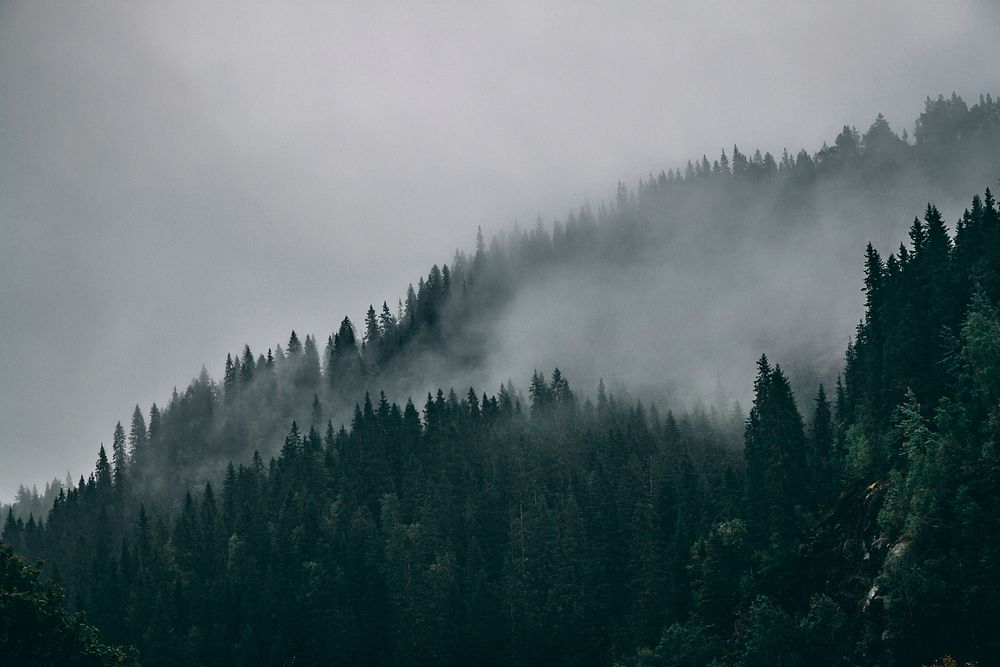 Free foggy mountain landscape image, public domain nature CC0 photo.