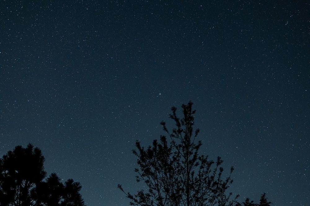 Free night sky image, public domain celestial view CC0 photo.