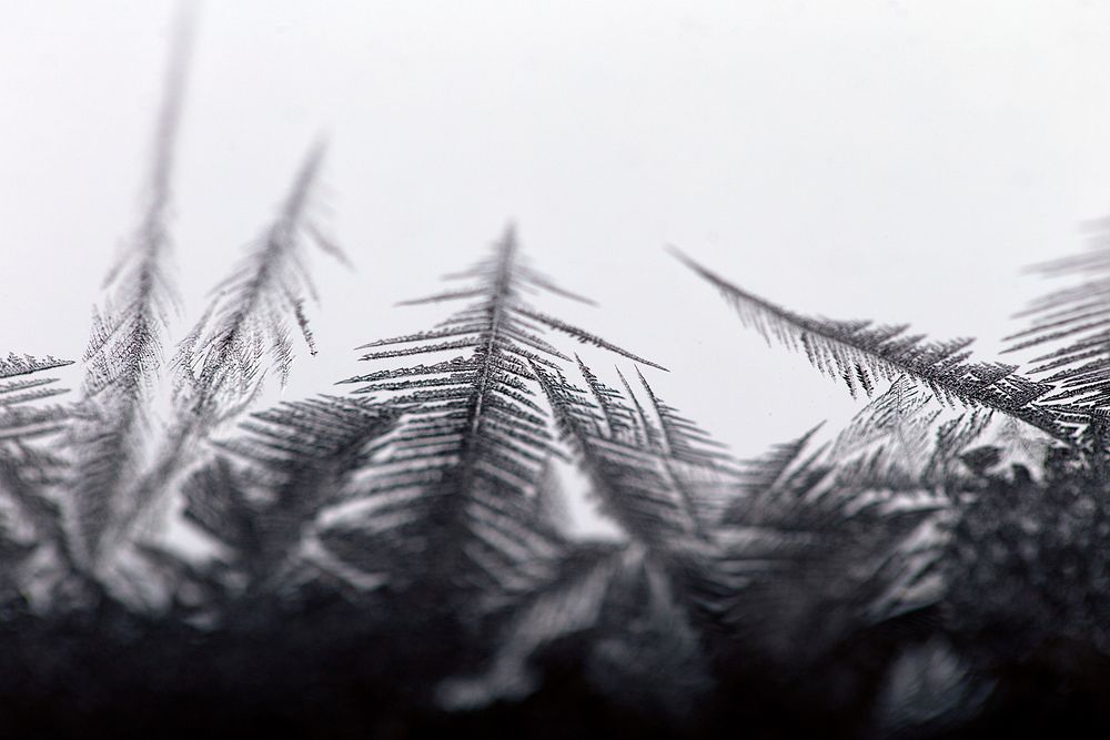 Free macro ice crystals in black and white photo, public domain CC0 image.