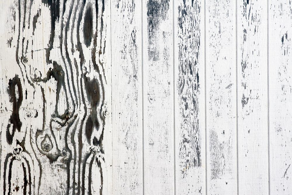 Free white wood texture image, public domain material CC0 photo.