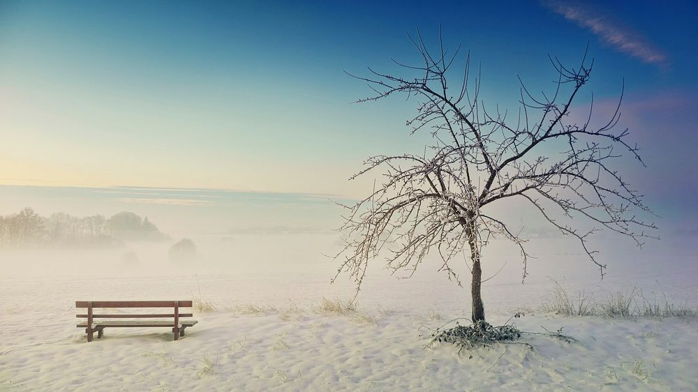 Free park bench during winter image, public domain nature CC0 photo.
