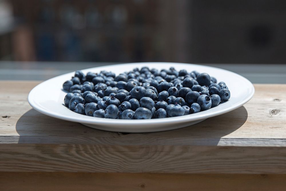 Free blueberries image, public domain fruit CC0 photo. 