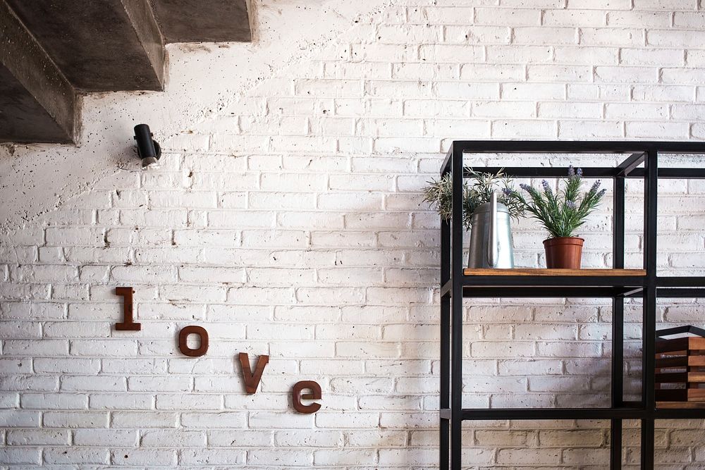 A cozy living room wall features a plant on a minimalist shelf and the word LOVE on the wall, free public domain CC0 image.