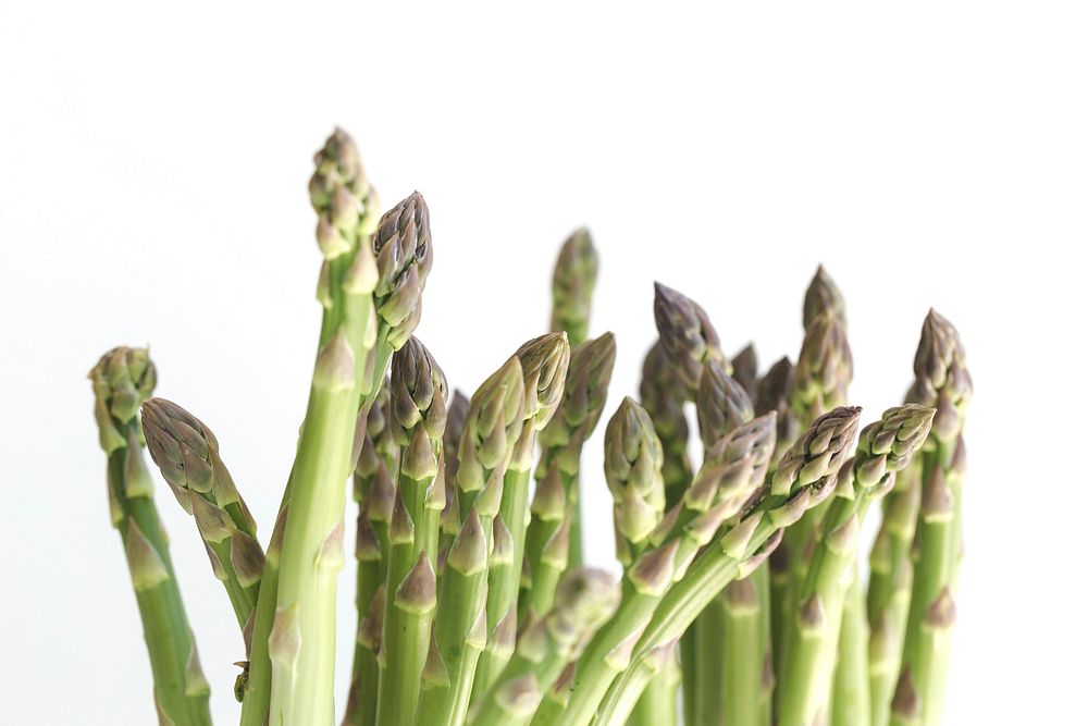Asparagus bunch standing upright on a white background, public domain CC0 photo.