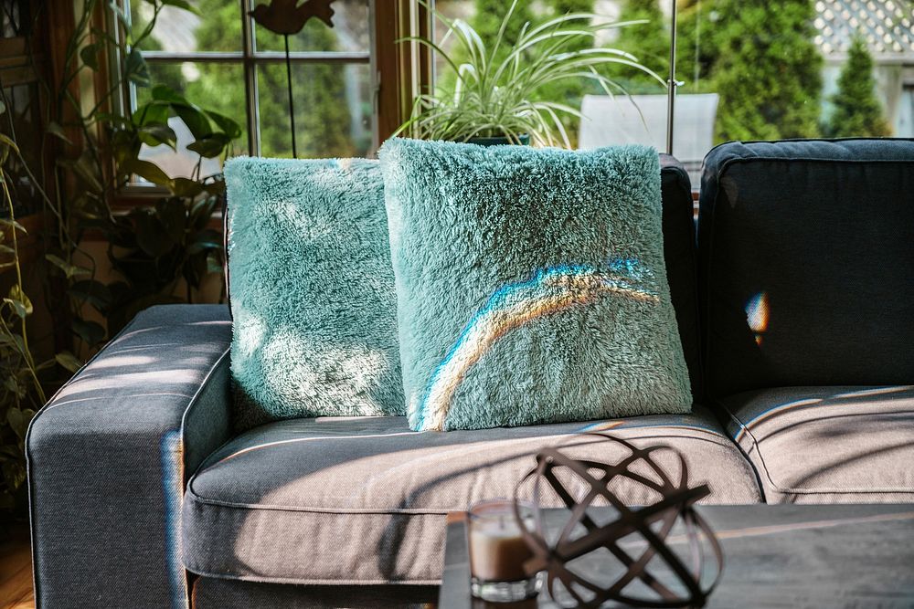 A rainbow forms on sofa with soft teal pillows in a room full of windows and plants, free public domain CC0 image.
