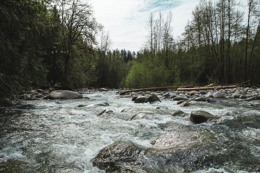 Free flowing river image, public domain nature CC0 photo.