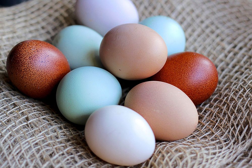Free eggs image, public domain CC0 photo.
