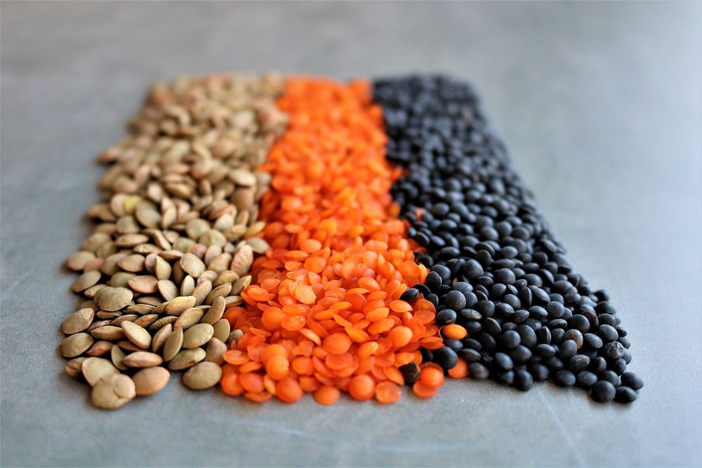 Free lentils tricolor image, public domain food CC0 photo.