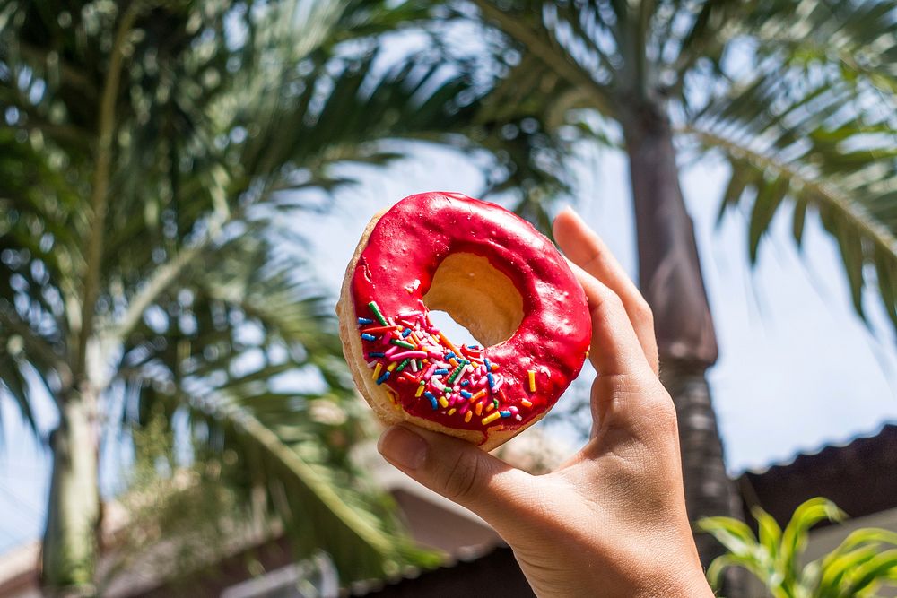 Free hand holding donut near palm trees image, public domain food CC0 photo.