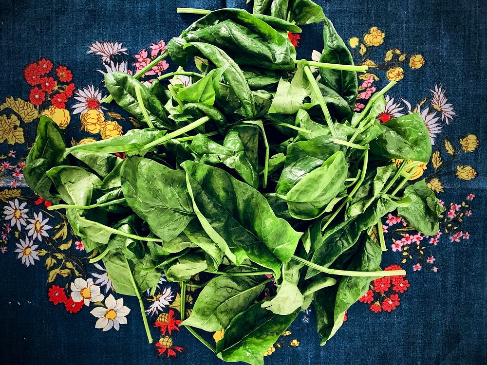 Free washed spinach image, public domain food CC0 photo.