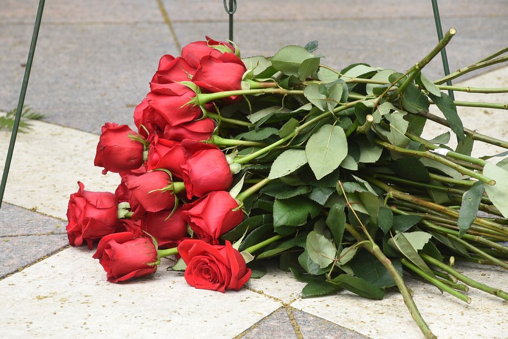 Red roses on the ground at the ICE Valor Memorial and Wreath Laying Ceremony.  Official DHS photo. Original public domain…