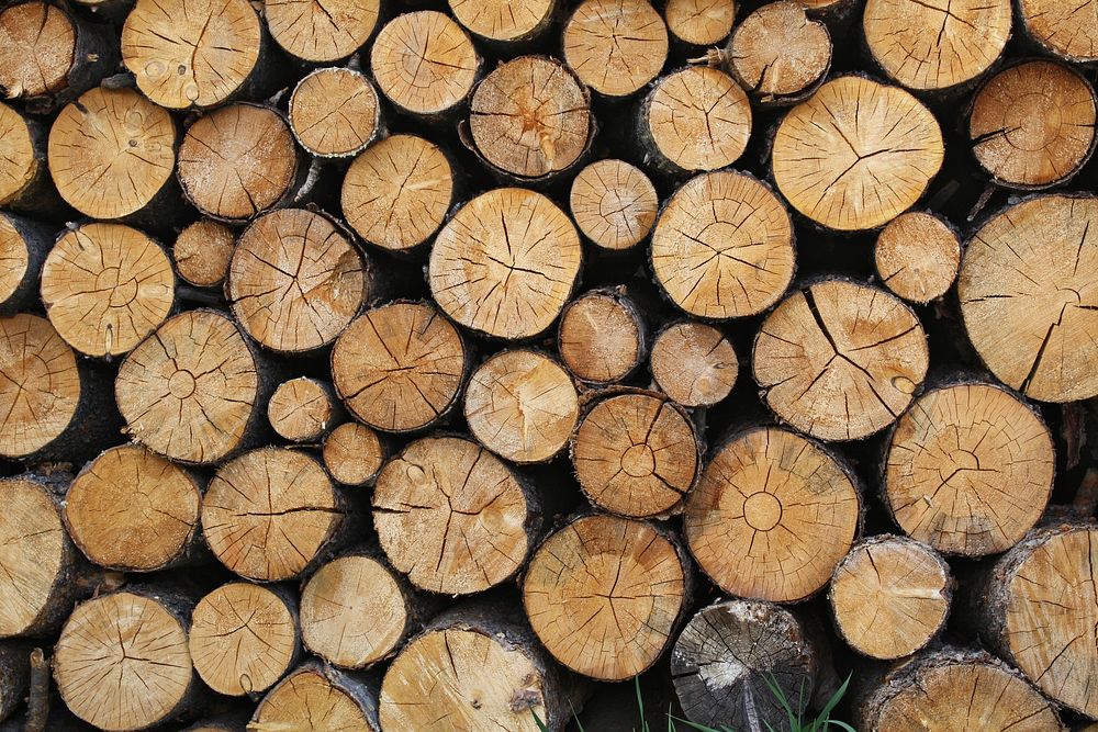 Stacked Logs Background Pattern. Free public domain CC0 photo.