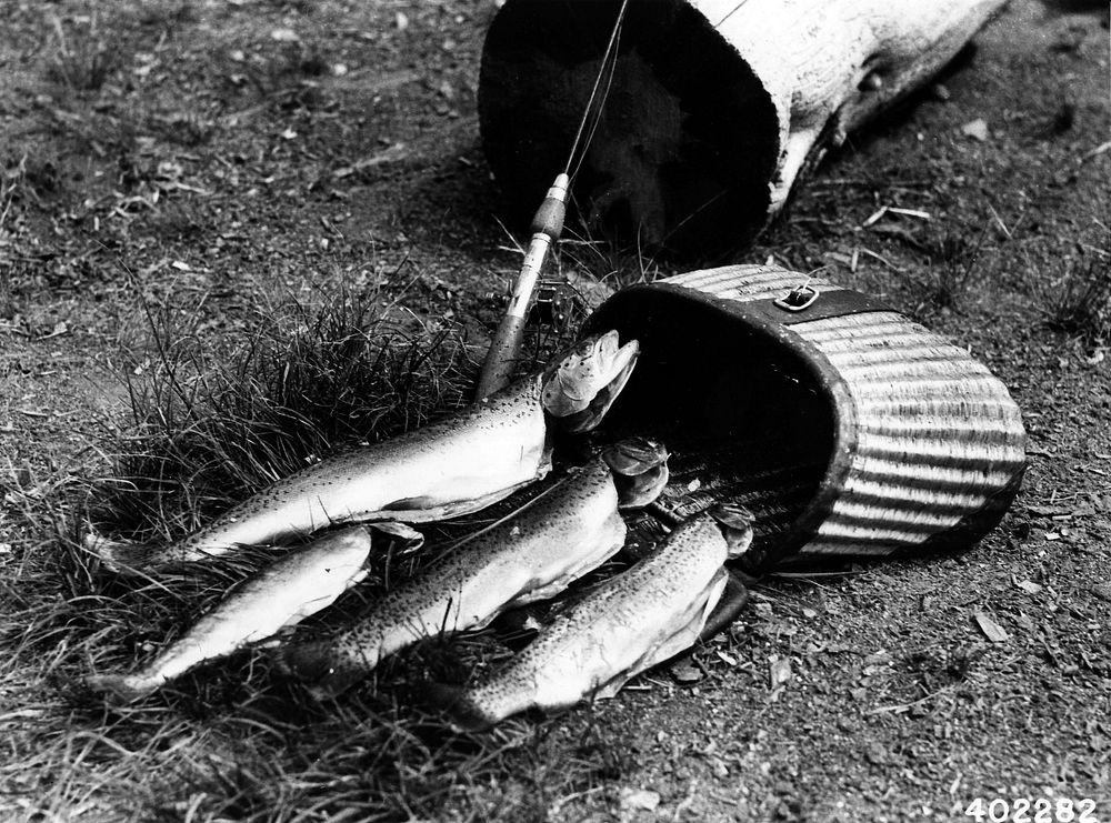 Fish Catch in Paulina Lake, Deschutes NF, OR 1934. Original public domain image from Flickr