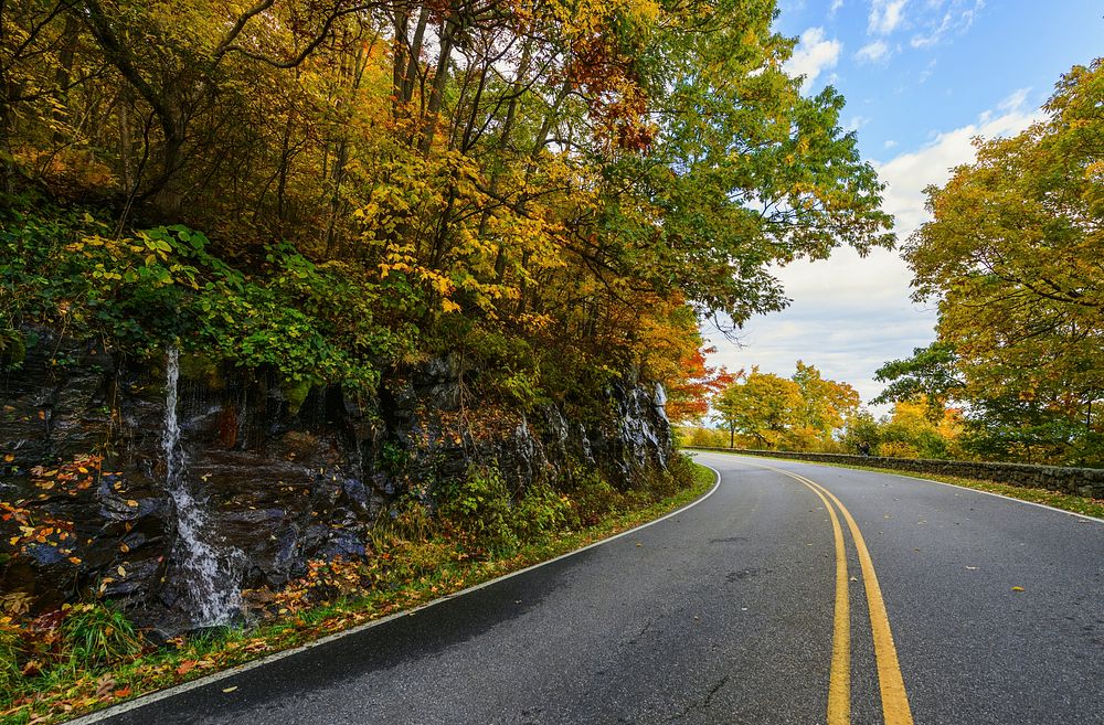 Roadside in autumn. Free public domain CC0 photo.
