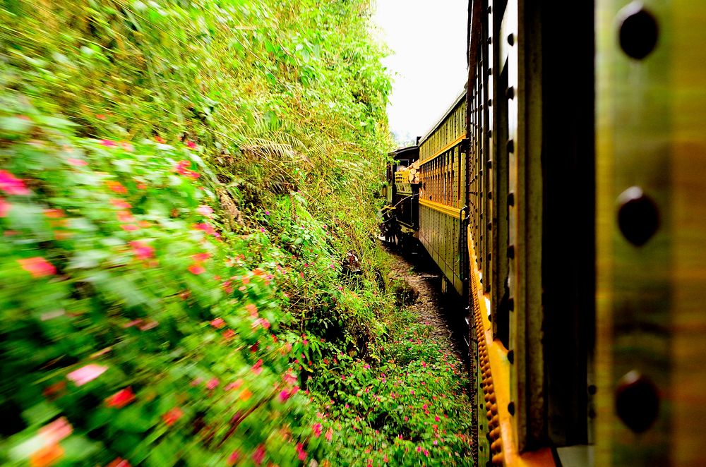 Moving train on a track. Free public domain CC0 photo.
