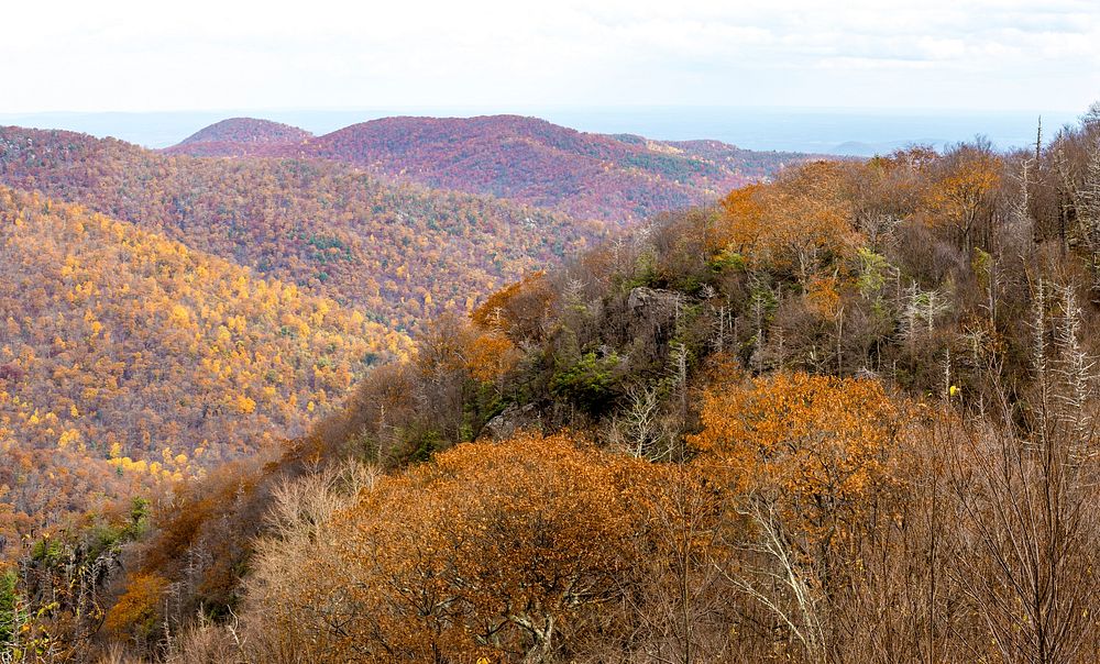 Mountain view in autumn. Free public domain CC0 photo.