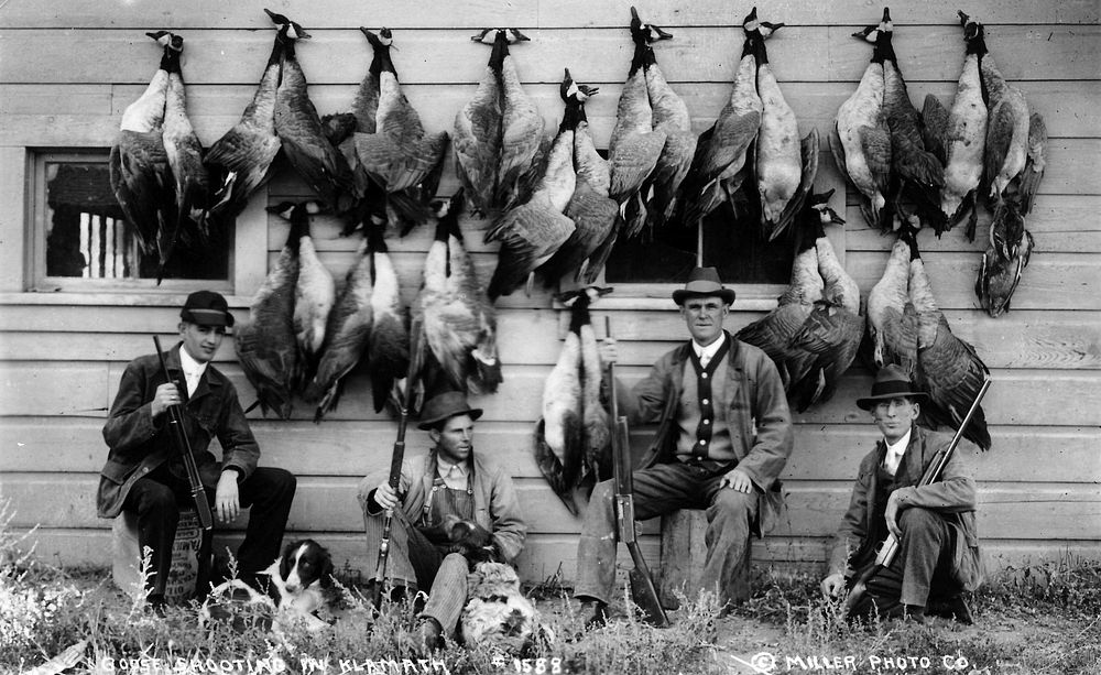 Goose Shooting in Klamath, Fremont-Winema National Forest Historic Photo. Original public domain image from Flickr