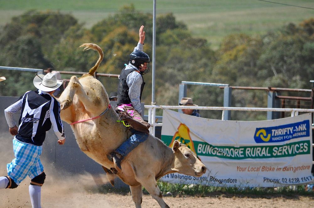 Bull riding at Bungendore Rodeo, NSW Australia - 1 November 2015