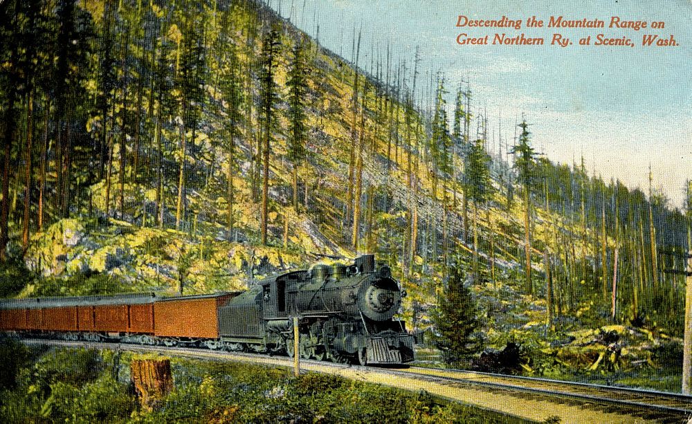 Stevens Pass IGT 1911 PostCard Scenic Mt. Baker-Snoqualmie National Forest Historic Photo. Original public domain image from…