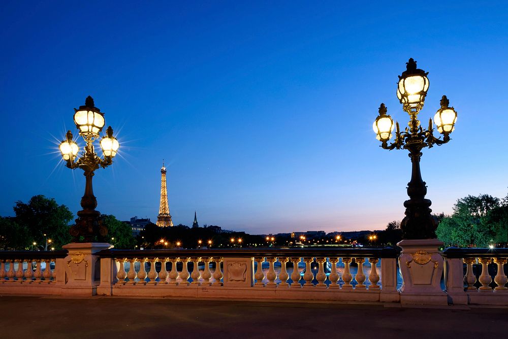 The Pont Alexandre III across the Seine in Paris. Free public domain CC0 image.