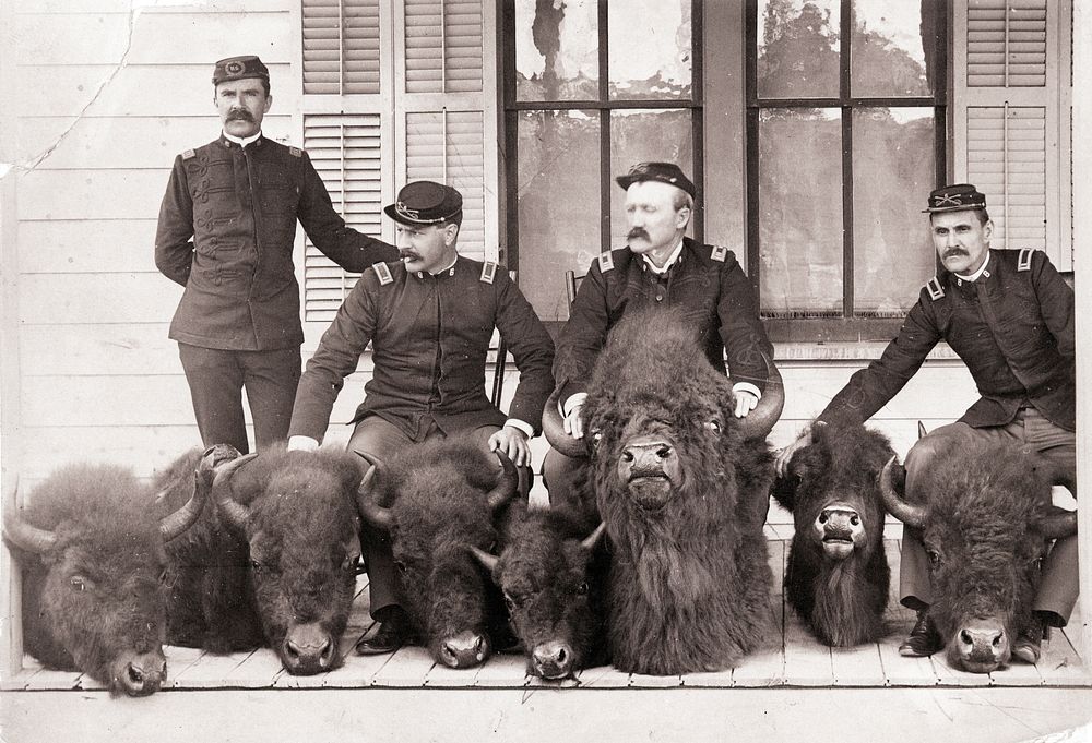Men who captured poacher Howell with confiscated bison headsMen Who Captured Poacher Howell, Posed With 8 Of The Confiscated…