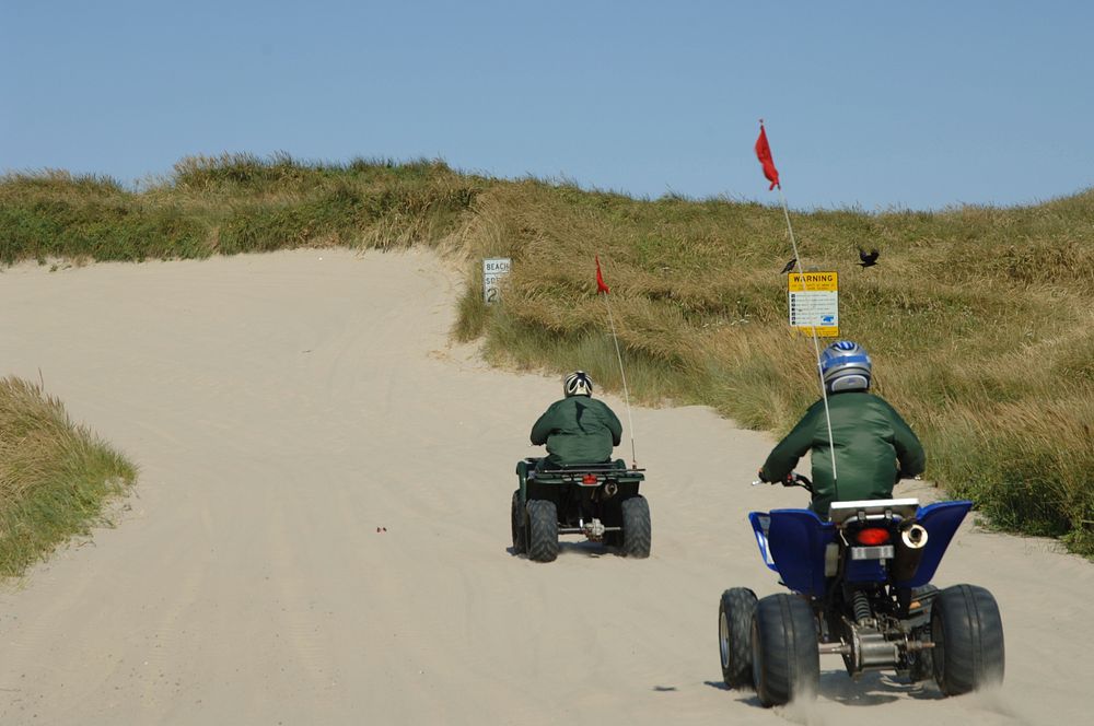 Pair of Dune Buggies at Oregon Dunes, Siuslaw National Forest. Original public domain image from Flickr