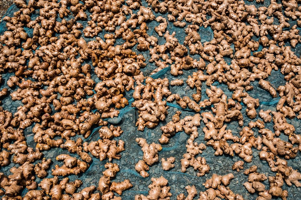 Ginger at a local market. Free public domain CC0 photo.