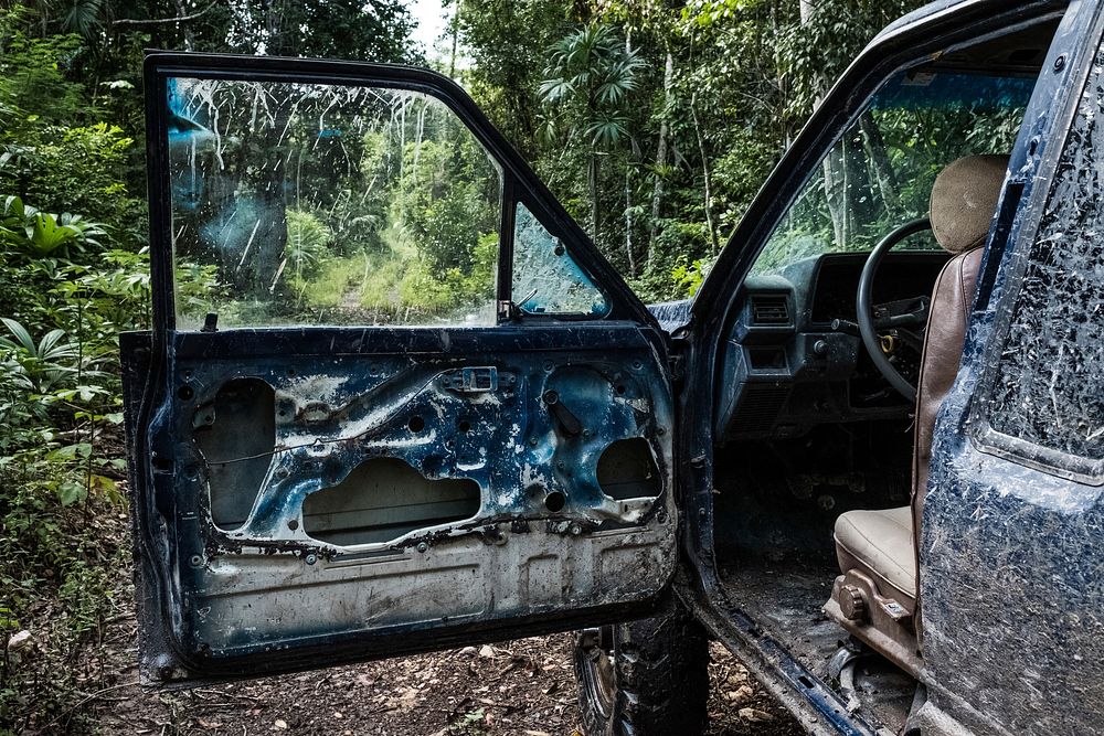 Damaged car in forest. Free public domain CC0 image.