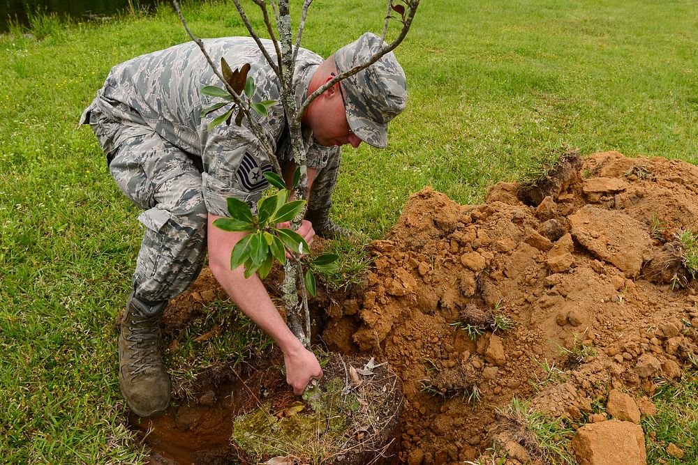 U.S. Air Force Tech. Sgt. Danny McNeil, a barrier maintainer assigned to the 169th Civil Engineer Squadron, plants a tree at…