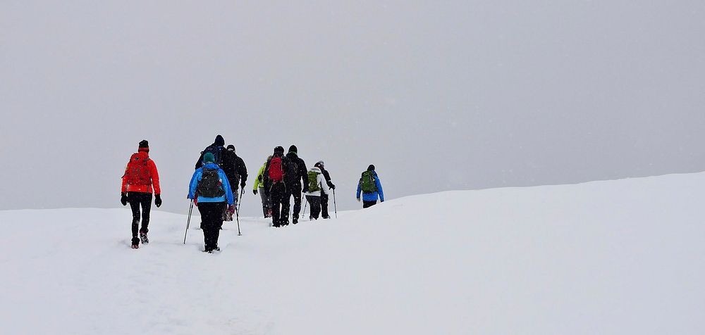 Mt. Hood Meadows on the Mt. Hood National Forest. Original public domain image from Flickr