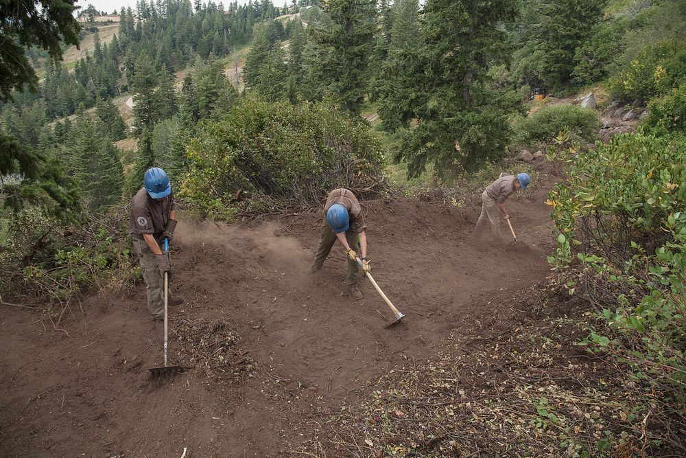 Idaho Conservation Crew Building a Mountain Bike Flow Trail at the Bogus Basin Ski Resort on the Sawtooth National Forest.