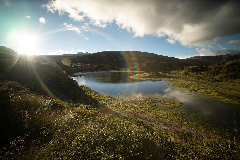 National Natural Park in Los Nevados. Free public domain CC0 photo.