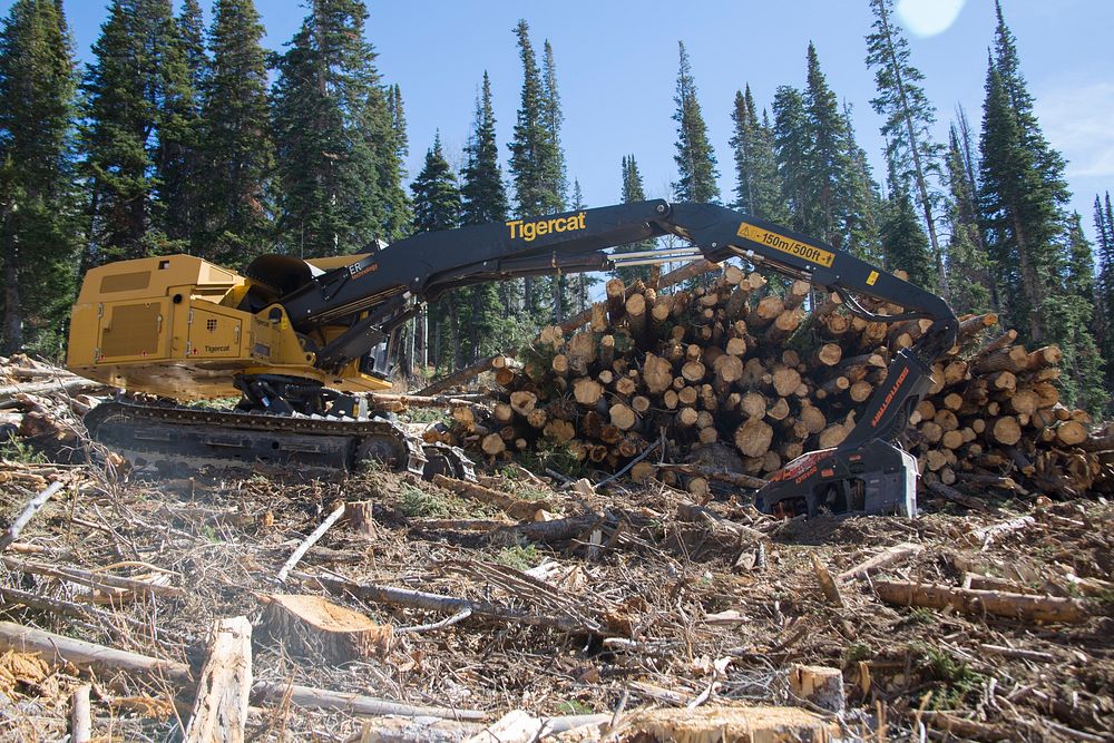 The Mine and Mine 1 timber sales are located just north of Electric Lake along HWY 31 to the top of Huntington Canyon on the…