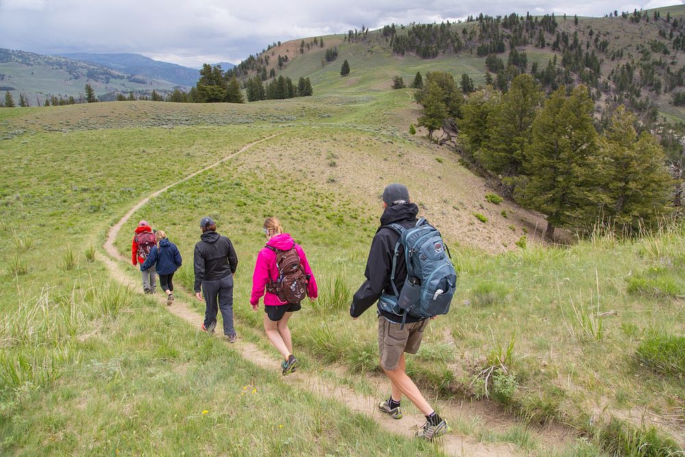 On the way to Specimen Ridge, Lamar Valley by Neal Herbert. Original public domain image from Flickr