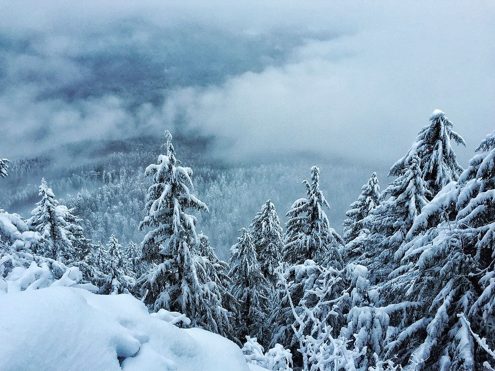Winter in the Opal Creek Wilderness, Willamette National Forest. Original public domain image from Flickr