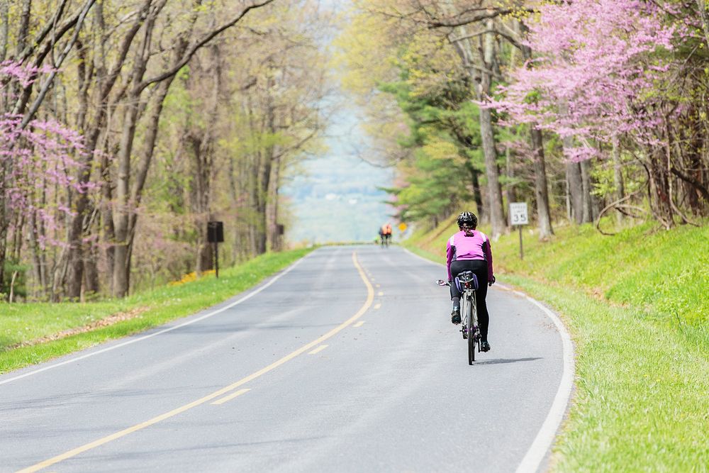 Riding bicycle during spring. Free public domain CC0 image.