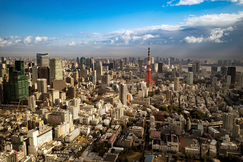 Tokyo city areial view. Free public domain CC0 photo.