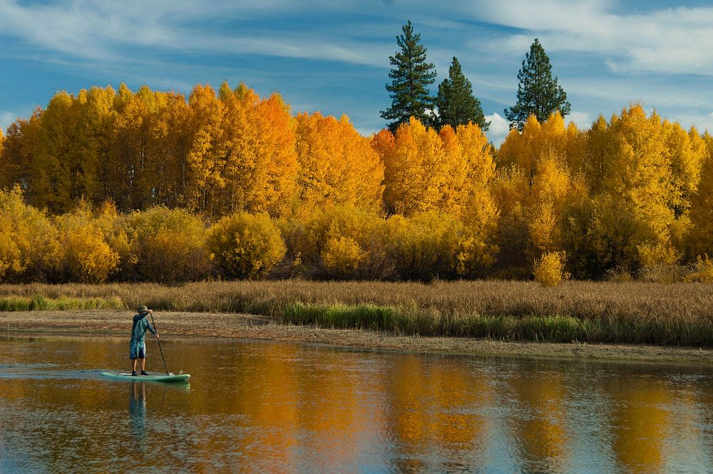 Deschutes National Forest Recreation paddle boarder. Original public domain image from Flickr