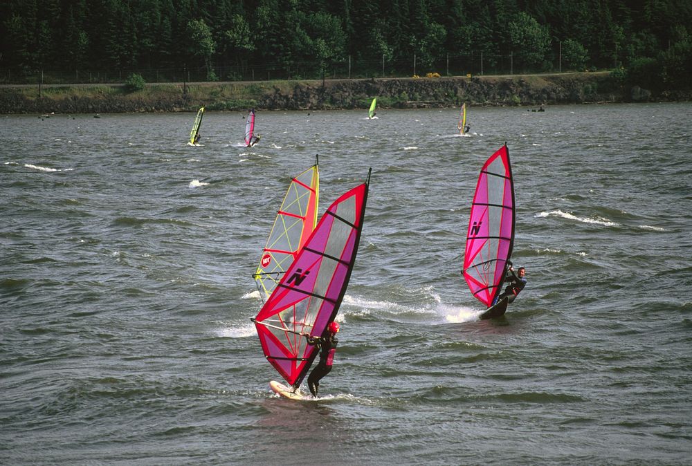 Windsurfing race at Hood River, Columbia River Gorge National Scenic Area. Original public domain image from Flickr