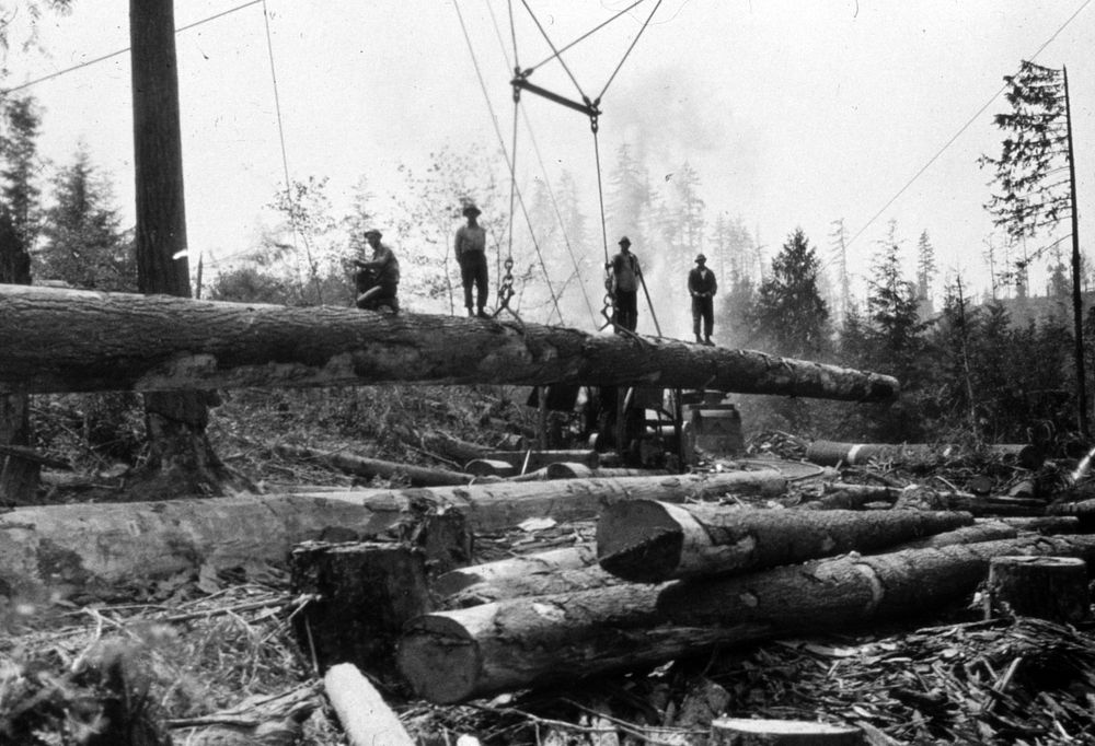 Early Logging. Original public domain image from Flickr