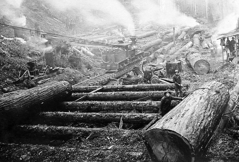 Early logging. Original public domain image from Flickr