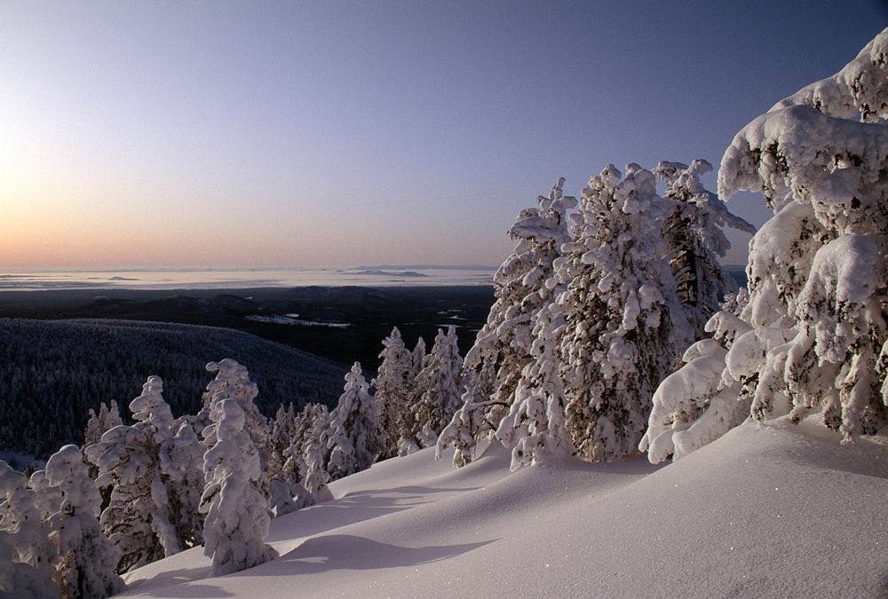 Winter Sunrise at Paulina Peak, Deschutes National Forest. Original public domain image from Flickr